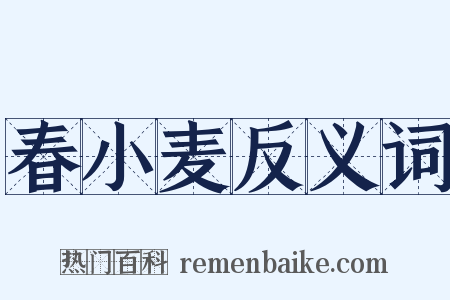 春小麦反义词是什么意思的图片